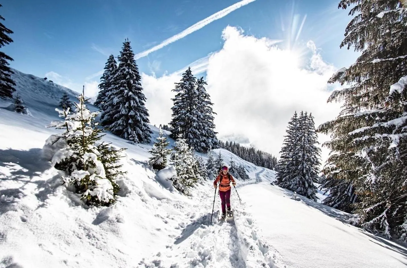 Chalet De L'Oy Oy2 Nature & Mountain 3 Pers Chatel 0*,